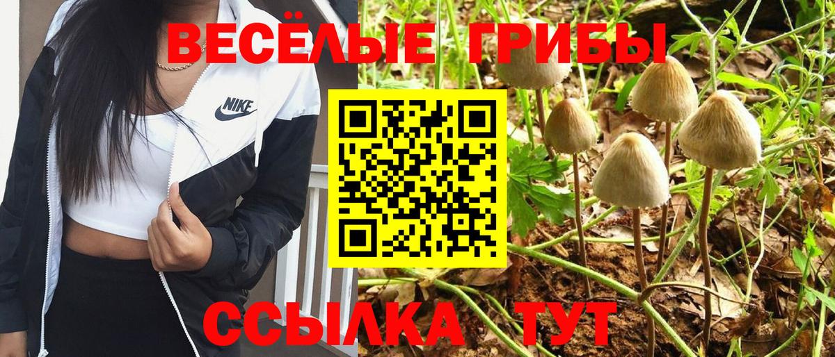 наркошоп  Псилоцибиновые грибы Psilocybe  Вход с VPN  Мурино 