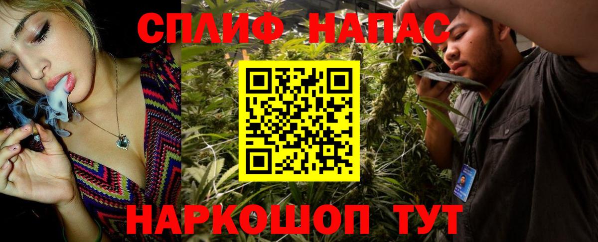 Канабис план  Вход с VPN  Мурино  МАРИХУАНА гибрид  МАРИХУАНА OG Kush  МАРИХУАНА THC 21% 